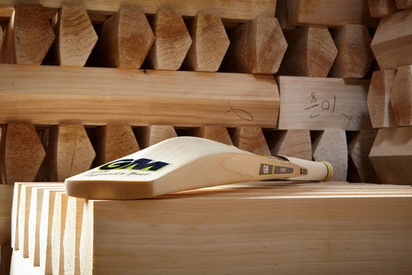 GM AIDEN MARKRAM PLAYERS EDITION CRICKET BAT 2023 view 4