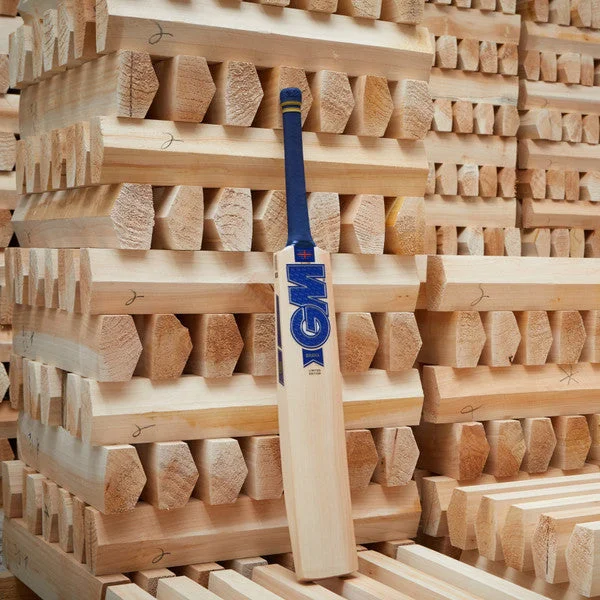 GM BRAVA Limited Edition Cricket Bat 2024 view 3