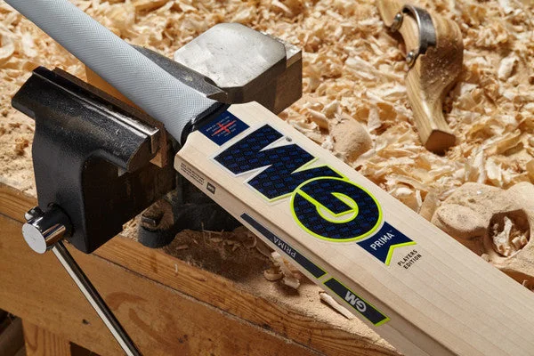 GM DAN LAWRENCE PLAYERS EDITION  CRICKET BAT 2023 view 2