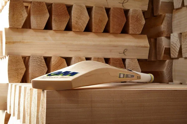 GM DAN LAWRENCE PLAYERS EDITION  CRICKET BAT 2023 view 4