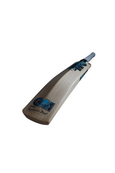 GM Diamond 909 Cricket Bat 2024 view 3