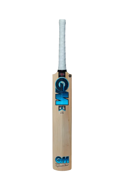 GM Diamond Signature Cricket Bat 2022 view 2