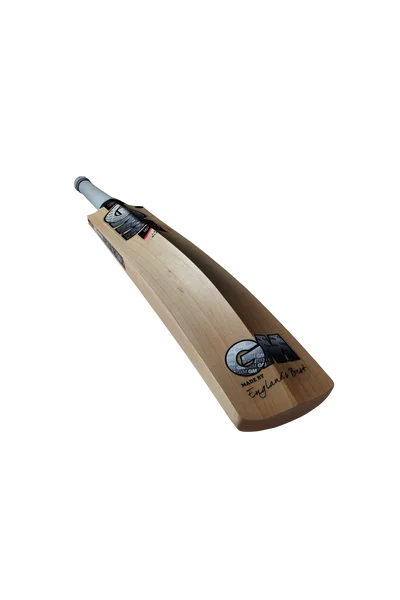 GM ICON 808 Cricket Bat 2022 view 5
