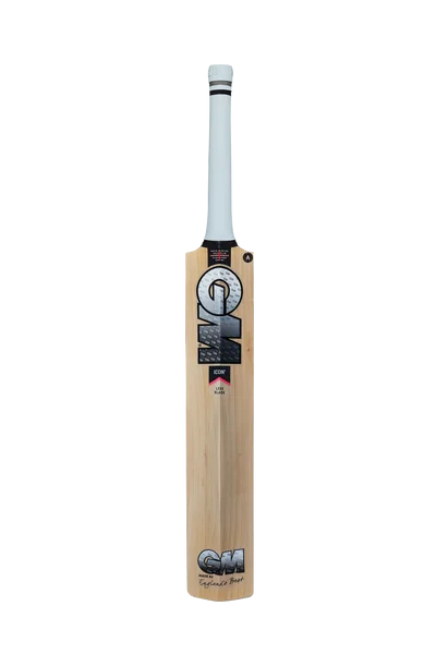 GM ICON Signature Cricket Bat 2022 view 2