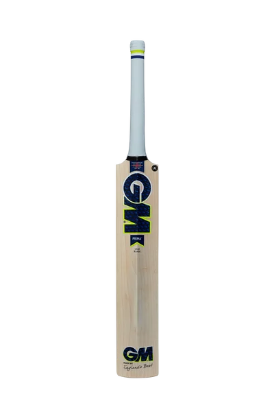 GM PRIMA 808 Cricket Bat 2022 view 2