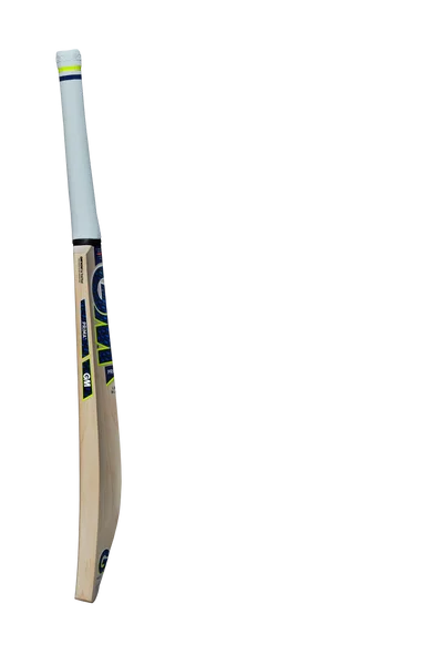 GM PRIMA Original Cricket Bat 2022 view 3