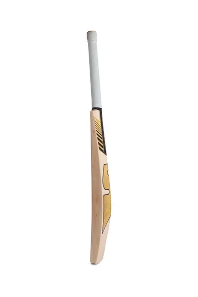 SG Sunny Gold Classic Cricket Bat 2024 (Latest) view 3