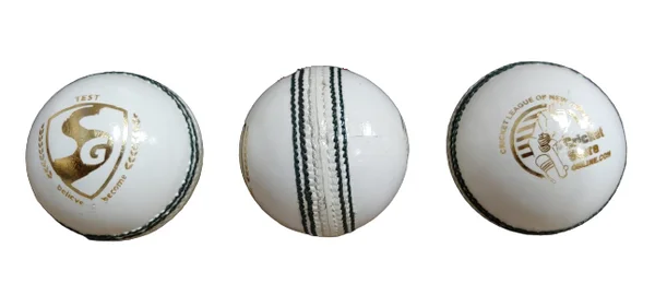 SG Test Cricket Ball - WHITE view 2