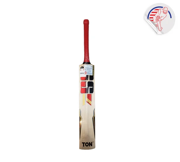 SS PLATINUM CLASSIC CRICKET BAT view 2