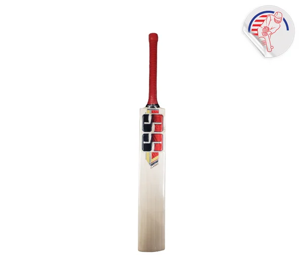 SS PLATINUM CLASSIC CRICKET BAT view 3